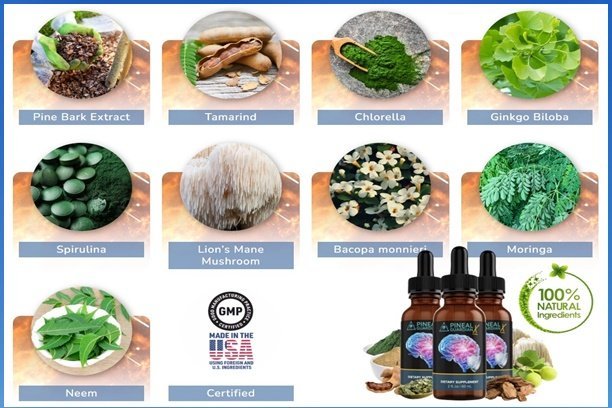 Pineal Guardian Ingredients